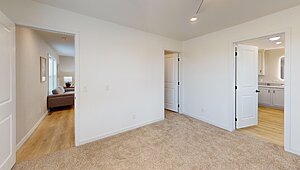 Alpha / The Easy Street Interior 116911