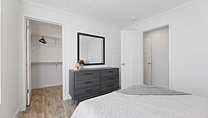 Anthem / The Sugar Run Duplex Interior 123886