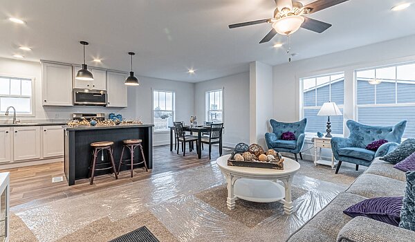 Tempo / Three Little Birds 54TEM24523AH Interior 121111