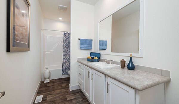 Landmark / 50th Anniversary 54LDK32643AH Bathroom 113227