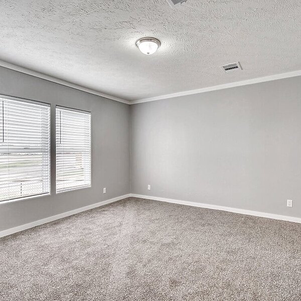 New Vision / The Whitehaven Interior 113954