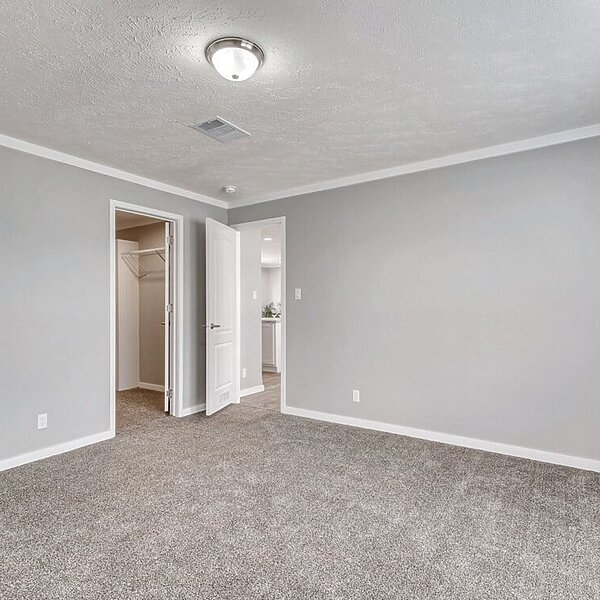 New Vision / The Whitehaven Interior 113955