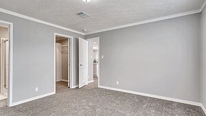 New Vision / The Whitehaven Interior 113955