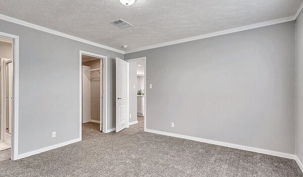 New Vision / The Whitehaven Interior 113955