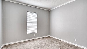 New Vision / The Whitehaven Interior 113956