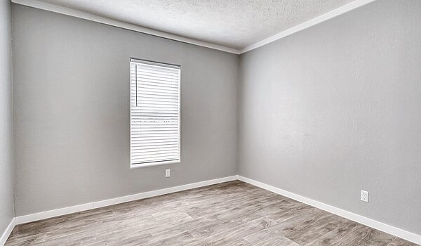 New Vision / The Whitehaven Interior 113956