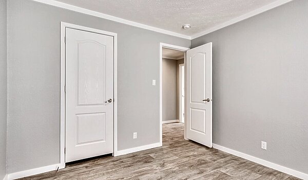 New Vision / The Whitehaven Interior 113957