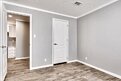 New Vision / The Whitehaven Interior 113958