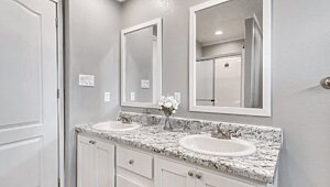 New Vision / The Whitehaven Interior 113959
