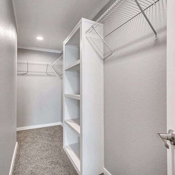 New Vision / The Whitehaven Interior 113964