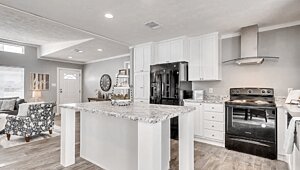 New Vision / The Whitehaven Interior 113949