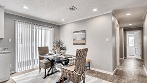 New Vision / The Whitehaven Interior 113953