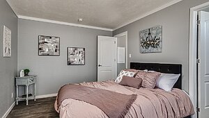 New Vision / The Tranquility NV-1002 Interior 131124
