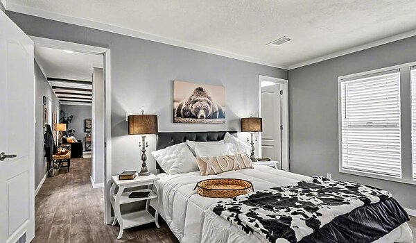 New Vision / The Paradise NV-1601 Interior 131136