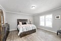 New Vision / The Big Josh Interior 111788