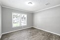 New Vision / The Big Josh Interior 111790