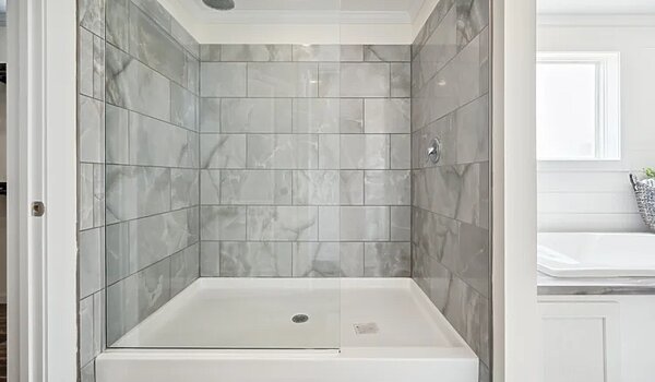 Bravo Series / Nexus BR456643A Interior 133061