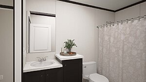 Ultra Pro Flex / Platinum Anniversary 29ANN28523AH Bathroom 144234
