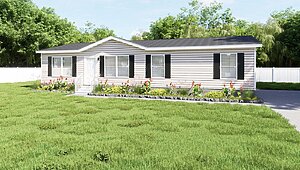 Ultra Pro Flex / Platinum Anniversary 29ANN28523AH Exterior 144207