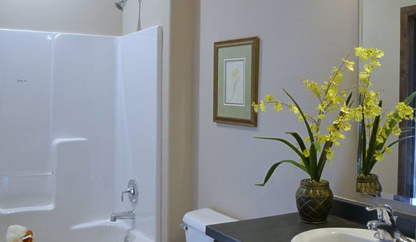 Platinum / Spruce Bathroom 71377