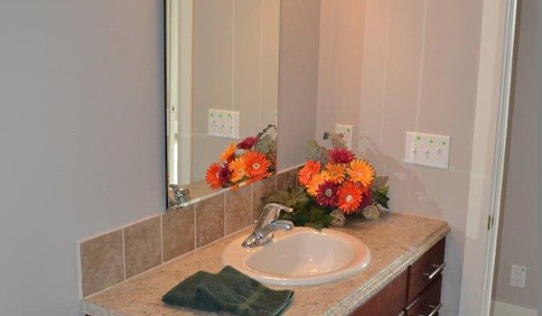 Platinum / Roanoke Bathroom 71543