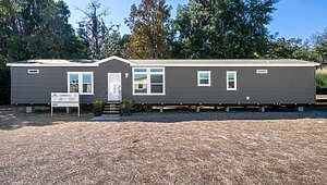 Rebirth Series / Kinder Lou 1634-706 Exterior 127100