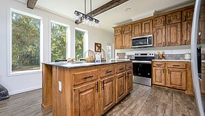 Rebirth Series / Kinder Lou 1634-706 Interior 127094