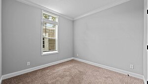 Rebirth Series / Manning 2862-636 Interior 127207