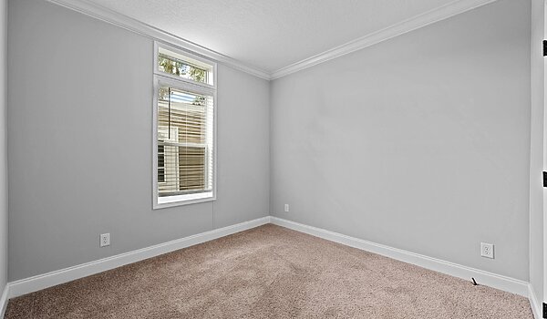 Rebirth Series / Manning 2862-636 Interior 127207