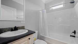 Rebirth Series / Manning 2862-636 Interior 127209