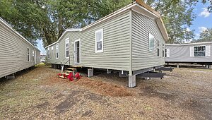 Rebirth Series / Manning 2862-636 Exterior 127210