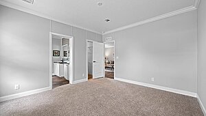 Rebirth Series / Manning 2862-636 Interior 127205