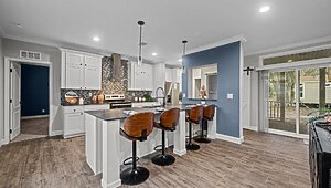 Rebirth Series / Merrit Island 32254-663 Interior 127311
