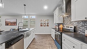 Rebirth Series / Merrit Island 32254-663 Interior 127312