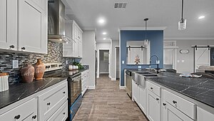Rebirth Series / Merrit Island 32254-663 Interior 127313