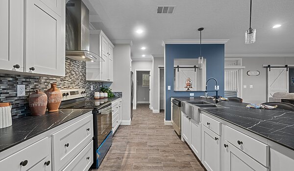 Rebirth Series / Merrit Island 32254-663 Interior 127313