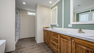 Rebirth Series / Santa Rosa 28216 Interior 127385
