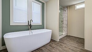 Rebirth Series / Santa Rosa 28216 Interior 127386