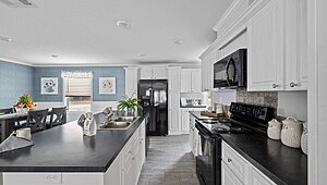Rebirth Series / Venice 32243-630 Interior 127451