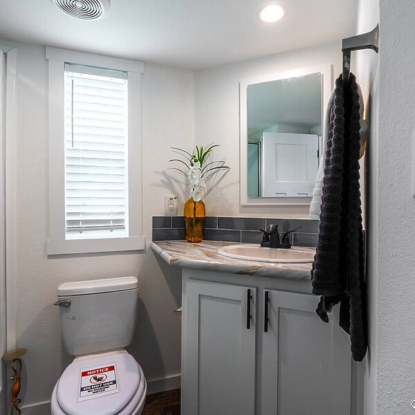 Park Model RV / APS 527B-SL Bathroom 118448