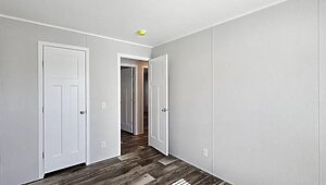 Minor League / Pelican Interior 127258