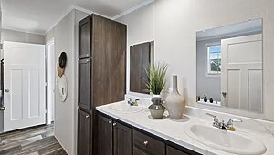 Minor League / Pelican Interior 127259