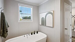 Minor League / Pelican Interior 127260