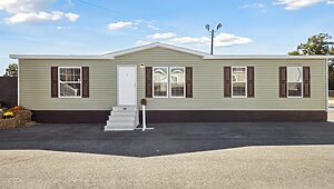 Minor League / Pelican Interior 127262