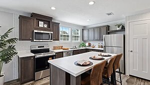 Minor League / Pelican Interior 127251