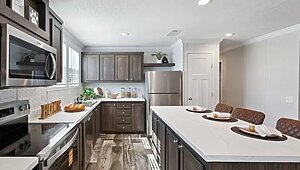 Minor League / Pelican Interior 127252