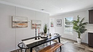 Minor League / Pelican Interior 127254