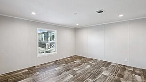 Minor League / Pelican Interior 127255