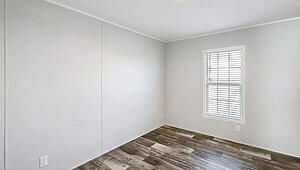 Minor League / Pelican Interior 127257