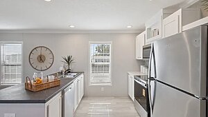 Minor League / Firefly Interior 127267